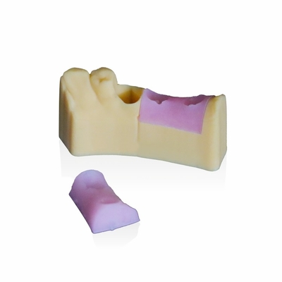 Gingiva-Rosa-Harz für zahnmedizinischen vorbildlichen 3d Drucker ASTM D2240