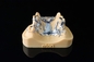 Light Curing Dental-Laser-Metallsinter-Drucker des keramische Zahn-Titan-Drucker-3D